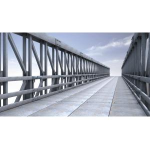 Modular Steel Bridge
