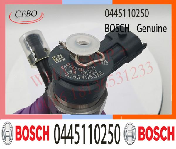 0445110250 Injecteur de carburant Bosch 0445110250 0986435123 0986435123 Pour FORD Ranger / Mazda BT-50 WLAA-13-H50 WLAA13H50