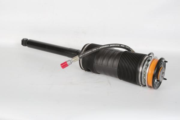W221 Rear Hydraulic Mercedes Benz Air Suspension Struts 2213200313