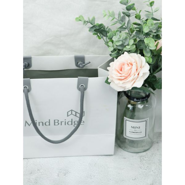 Толстые белые хозяйственные сумки картона с серым печатанием цвета Эко дружелюбным