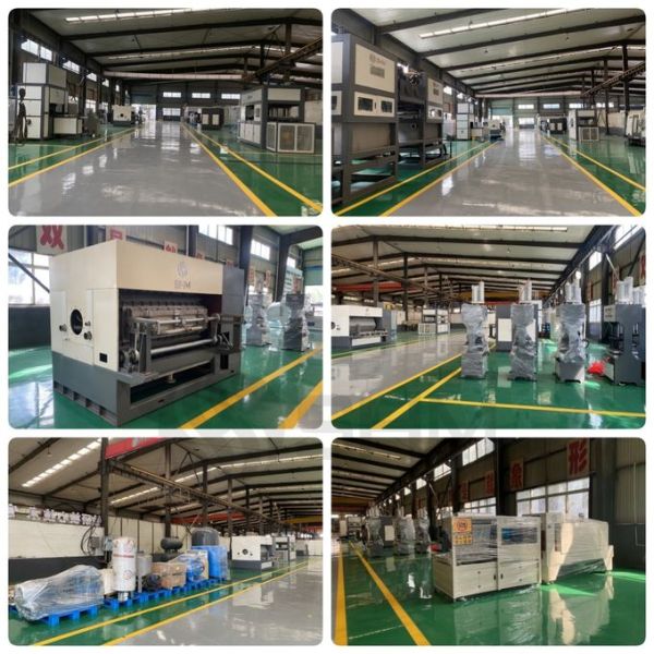 Customized Paper Pulp Tray Making Machine Molded Pulp Packaging Production Line