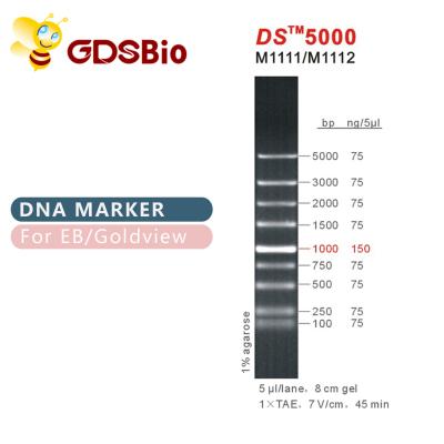 Escada M1111 do marcador do ADN do DS 5000 (50μg) /M1112 (5×50μg)