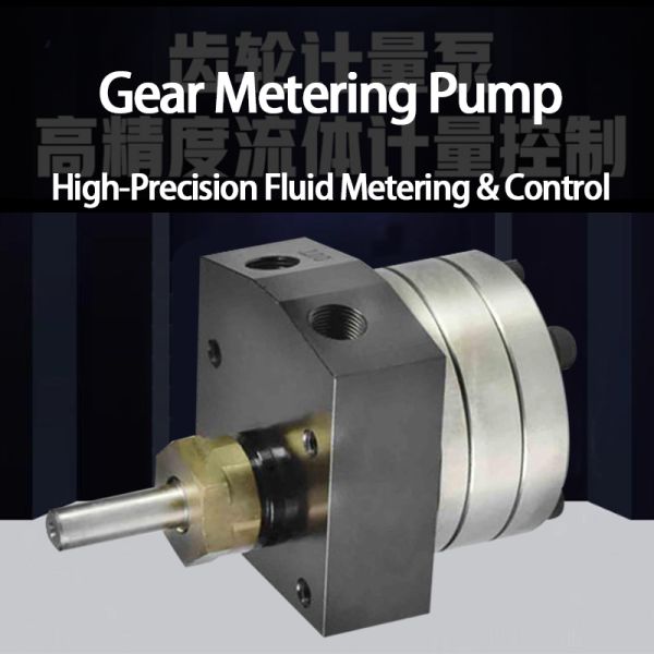Stainless Steel Coating Gear Pump for Corrosive Paint & Chemical Fluid Metering