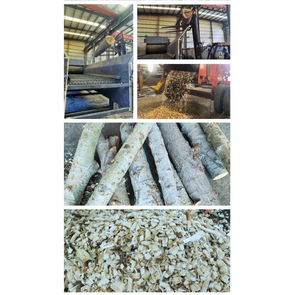 15-20T/H Capacity Diesel Tree Branch Shredding Machine Wood Pulverizer Wood Pallet Crusher