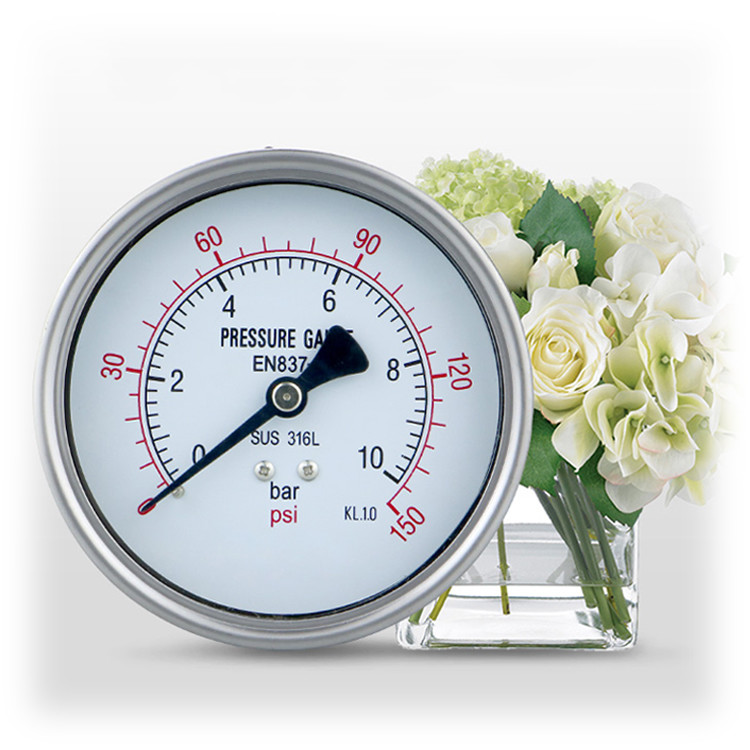 Field Stainless Steel Pressure Gauge for Low Pressure 1-600bar 100mm Made in Zhejiang