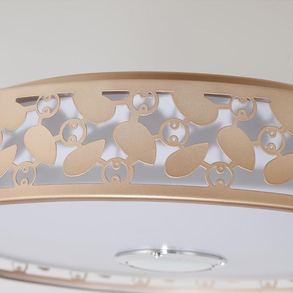 Fancy kitchen Bluetooth Music ceiling lights with APP Remote controller (WH-MA-38)