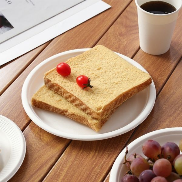 Eco-Friendly Biodegradable Paper Pulp Plate for Disposable and Smooth Edge Containers