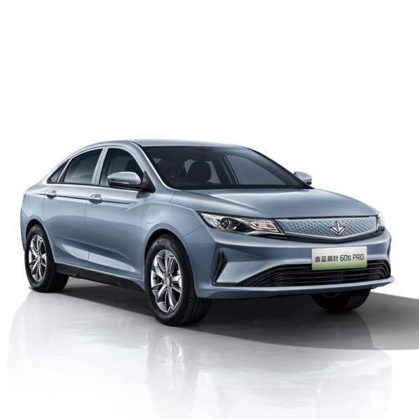 2024 Hot sales EV Electric Vehicle Maple Leaf 60s PRO Pure electric