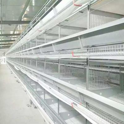 Q235 Steel Wire Poultry Chicken Cage Stable Performance 0 - 20kw Power For Farm