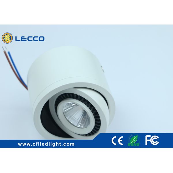 Pure White Outdoor Surface Mounted Led Spotlights 30000H 100 LM / W