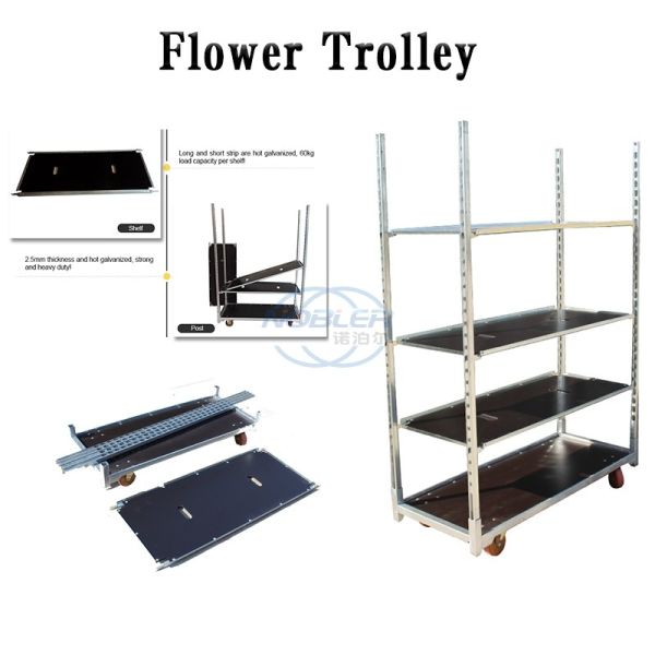 Danish Trolley Flower Hand Trolley Plastic Shelf Supermarket Exclusive Use Customized Trolleys