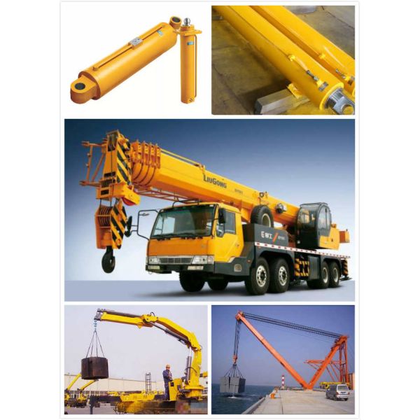 Dual Action Double Acting Hydraulic Ram 2 Way Chrome Crane with Piston