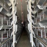 Econômico profissional da gaiola automática das aves domésticas da galinha do ovo da produção