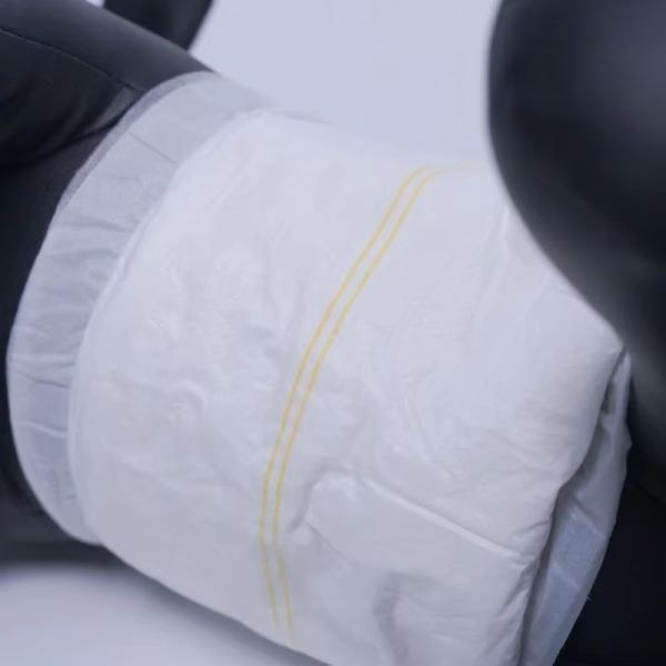 Secure Fit Disposable Pet Diapers Super Absorbent Leak Proof Edges For Dogs Cats