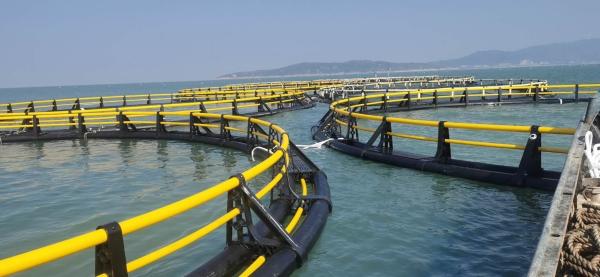 HDPE Deep Sea Aqua Culture Farms With Floating Pipe 200mm/400mm/450mm/500mm