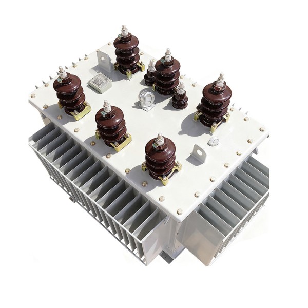 S20-M 10kV Three Phase Oil Immersed Transformer Fully Sealed Robust Structure