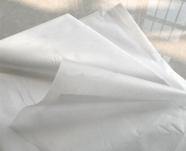 Adultos 19,7 ' X 27,6 rolo descartável da tampa de cama do OEM de 20gsm 25gsm