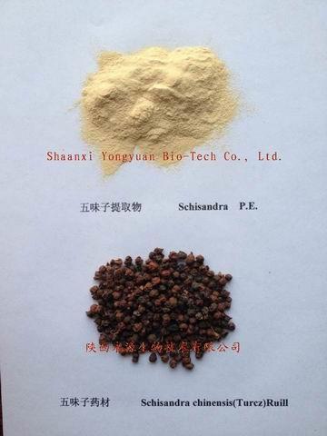 Schisandra Extract 2% ,5%, 9%Schisandrins, anti aging, Protect liver,CAS.: 7432-28-2 Chinese export, Yongyuan Bio-Tech,