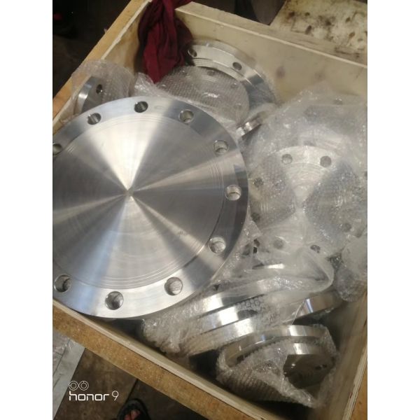 ASTM B564 UNS N06022 Hastelloy Blind Flange DIN2527 PN6-PN100 DN10-DN1000 Alloy