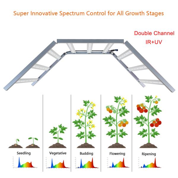900W Electronic Horticultural LED Light Full Spectrum Grow Lights For Indoor Plants