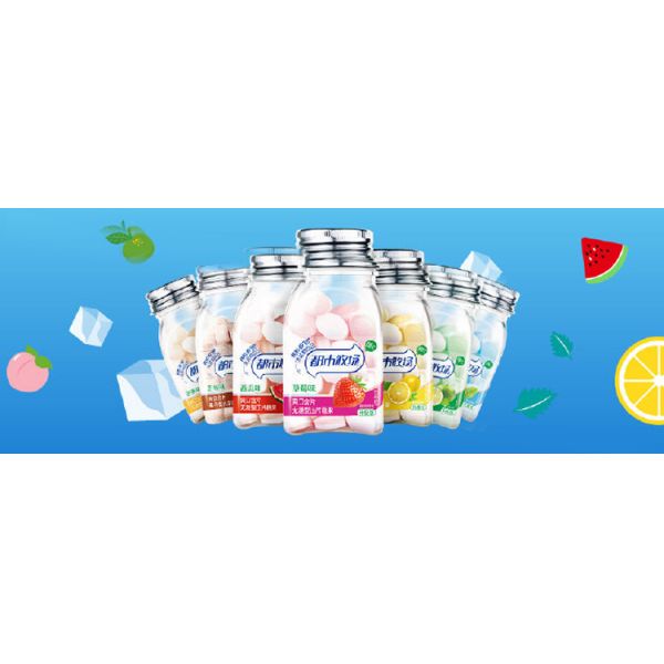 Watermelon Flavor Sugar Free Mint Candy Compressed 12 Months Shelf Life