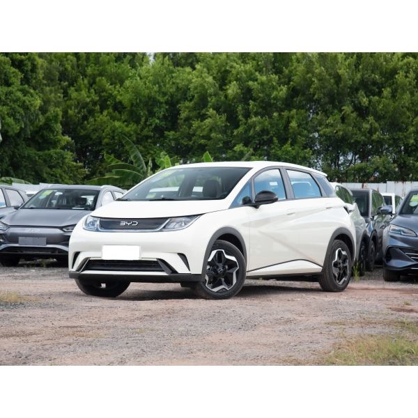 BYD Dolphin 2025 Model 420 Kilometer Pure Electric Edition 5 Doors 5 Seats 4 Speakers Popular Car