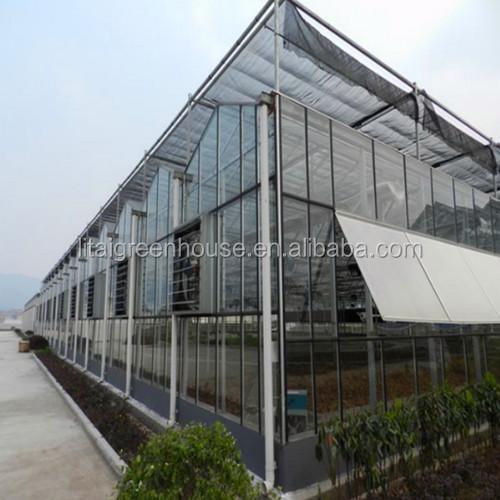 Multi-Span Agricultural Greenhouses Modern Tech Glass Greenhouse for Agriculture