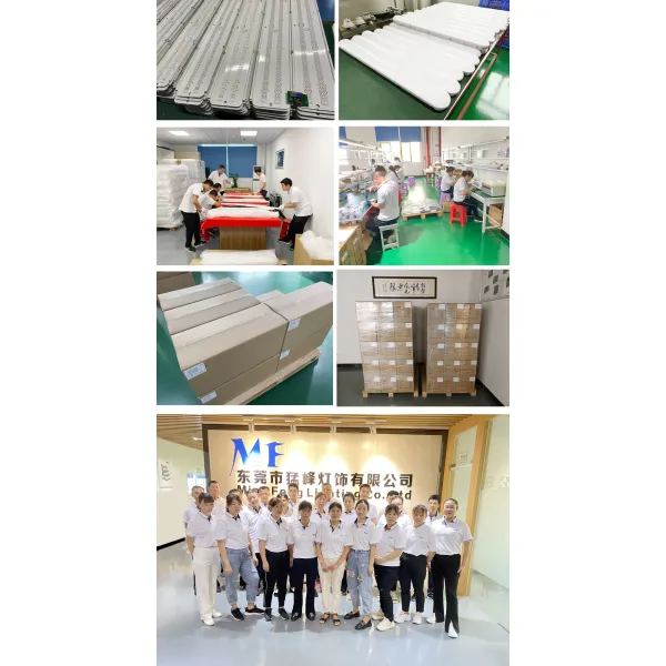 Светодиодные светодиодные лампы из нержавеющей стали IP66 Ik08 2FT 4FT 5FT