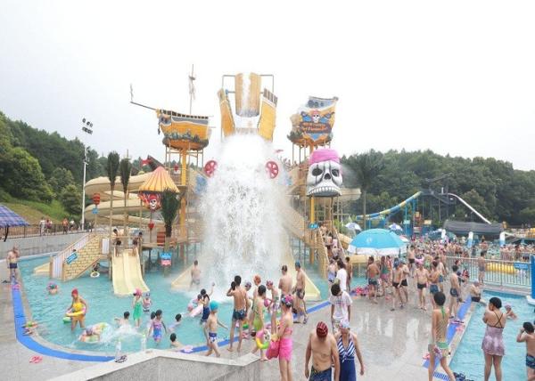 Parque temático da água do navio de pirata/campo de jogos exterior do Aqua para a família
