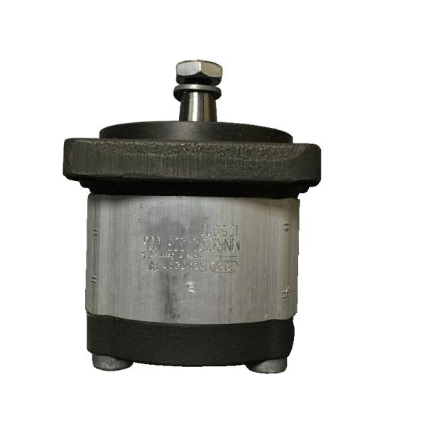 Rexroth 0510325006 Gear Pump Strong Durability 100% New Original