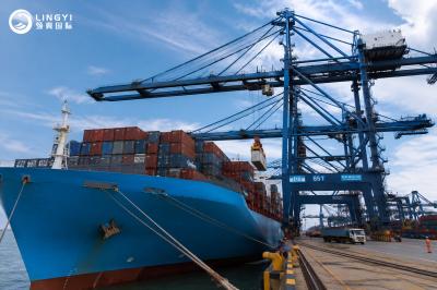 Logistics Service Economic Sea Transportation Services in 45 Days Shipment Dispatch Time 