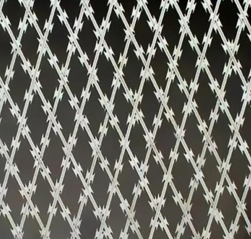Boundaries Wall Welded Razor Barbed Wire Mesh Prison Fence Netting