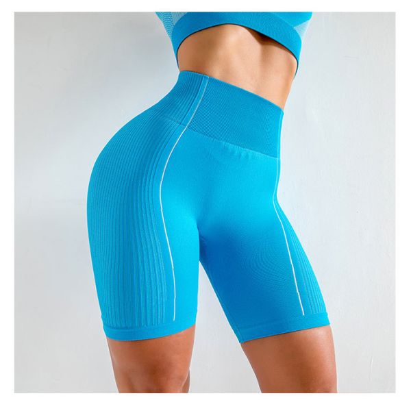 Наборы йоги дам безшовные ясно соткут анти- влажные двухкусочные обмундирования йоги