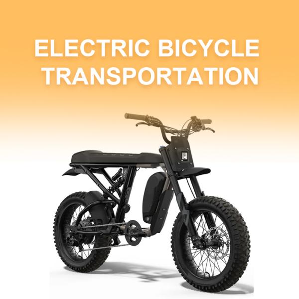 Transitaire de marchandises dangereuses pour vélos électriques par mer, air et route avec LCL et FCL