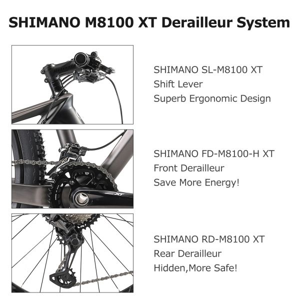 24 bicis del carbono MTB de la velocidad, gris certificado del CE de la bicicleta de la montaña de 29 pulgadas