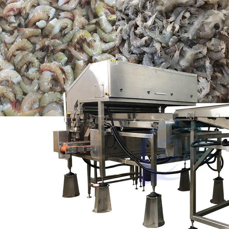 1500KG Capacity Shrimp Deheading Machine 380V 50Hz Shrimp Processing Unit