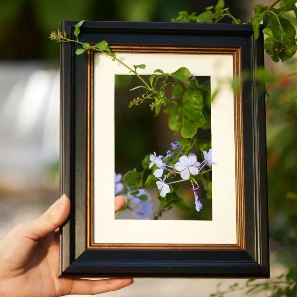 Modern MDF Wooden Photo Frame Fashionable Luxury Light Still Life Paintings Frame Home Decor Hand-made Painting Picture Frame