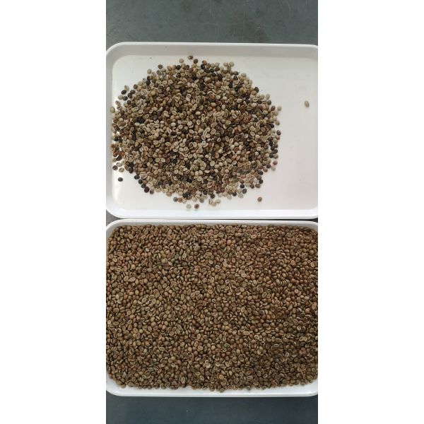 3.0t/H CCD Coffee Bean Sorting Machine With High Processing Accuracy