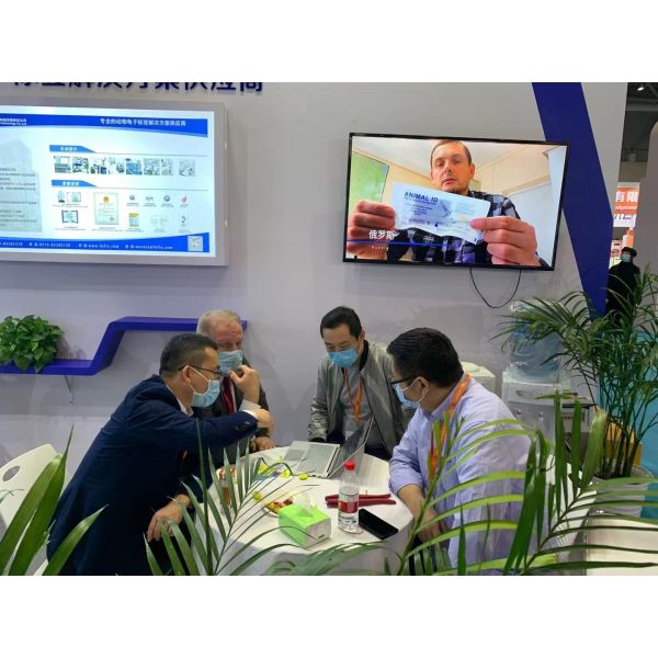 NLIS одобрило круг бирки уха HDX электронный в белом цвете для ID коровы