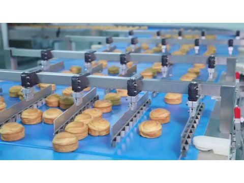 Automated Round Raisin Swirl Bread Production Line: Lamination, Servo Cutting & Precision Tray Panning