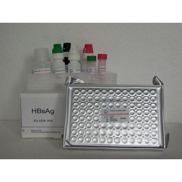 ELISA detection reagent kit High Accuracy HBsAg Elisa Test Kit
