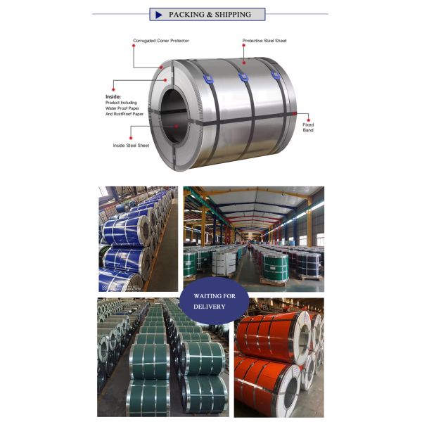 PPGI Color Coated Coils and Galvanized Color Coated Coils with Mid Hardness Width 600-1250MM Manufactured by Factories