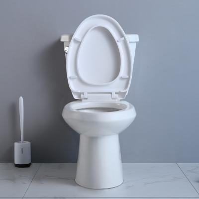 Elongated Compact Ada Toilet 19 Inches Powerful Punch Syphon Standard Height