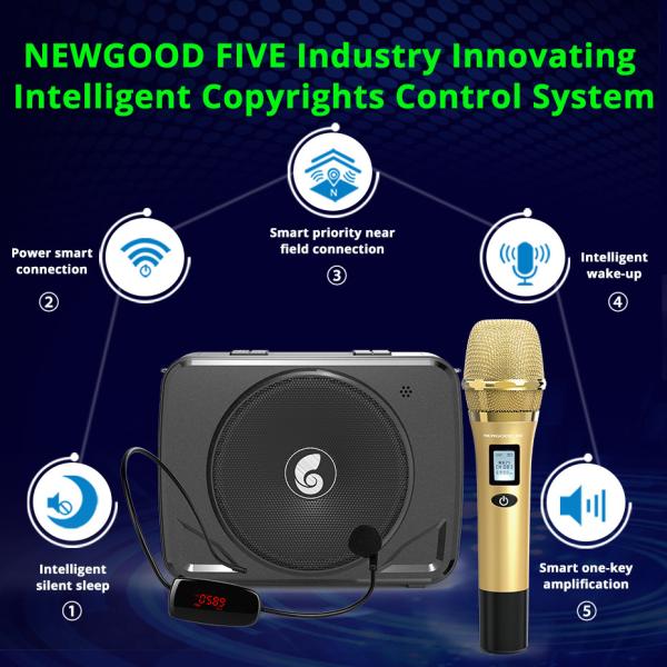 50W 30W 20W 15V 12V 2 set uhf wireless microphone headset handheld voice amplifier bluetooth speaker singing megaphone