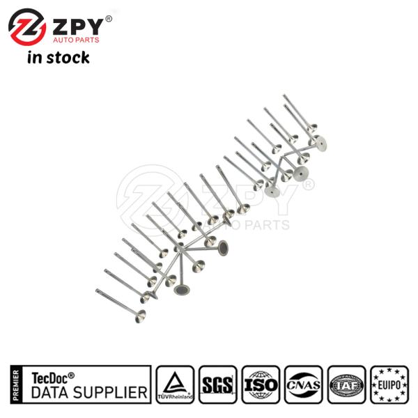 ZPY Intake Exhaust Valve Kit for VW Audi Passat Jetta A4 A6