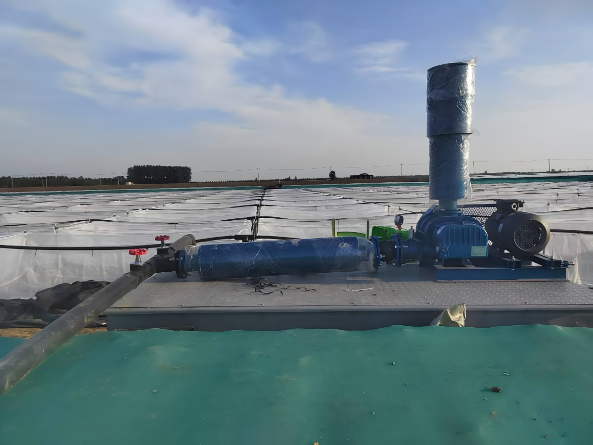 Oxygen Microporous Aerators Aquaculture Tools 1.5kw For Shrimp Crab Culture