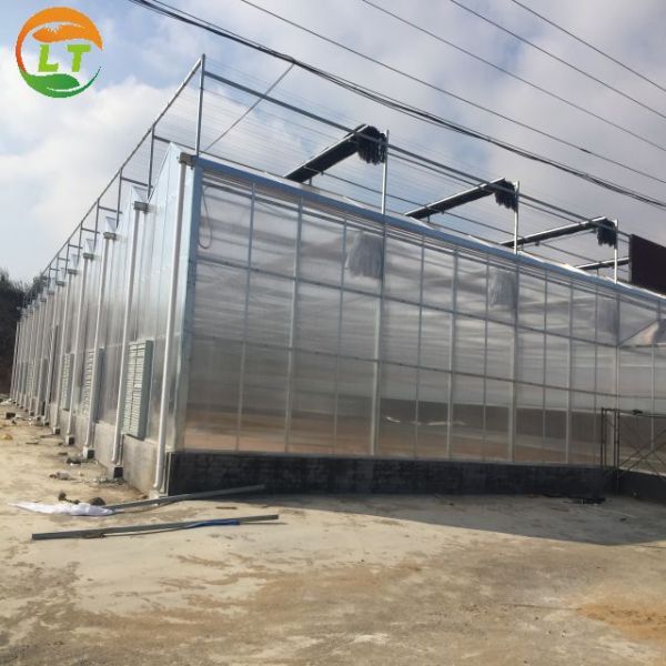 Multi-Span Agricultural Greenhouses with Hot Galvanized Steel Transparent Solar Panels