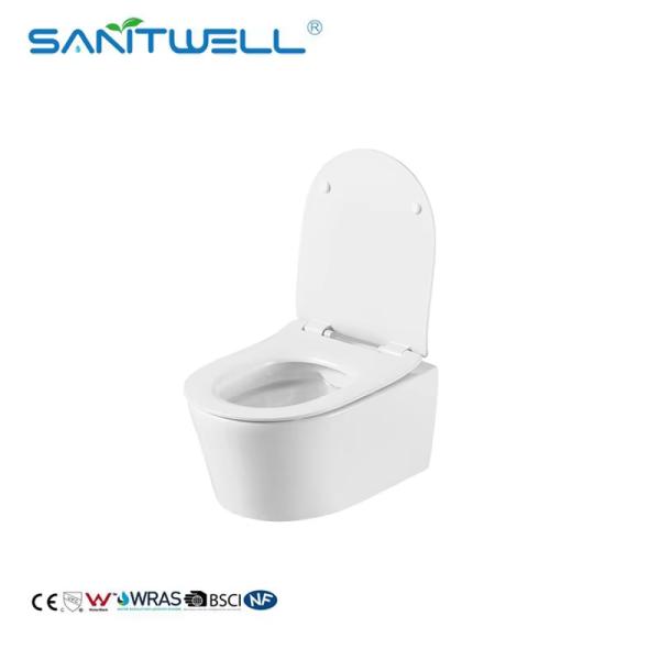 Luxury Sanitary Ware Hot Selling Models Washdown Rimless Flushing Wall Hung Toilets WC
