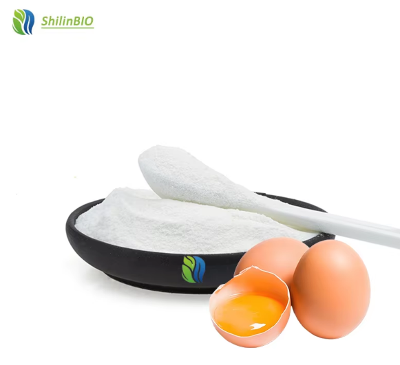 Egg Extract Albumin Peptide Powder Albumin Polypeptide Ovalbumin Peptide/Ovalbumin Peptide Powder Easily absorbed