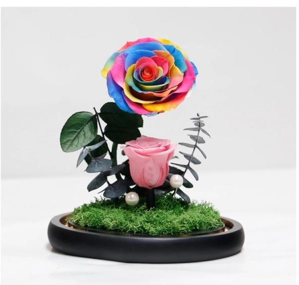New Shape Glass dome Preserved Long Lasting Rose With Curving Stem In Glass Bell